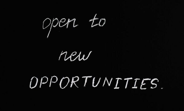 sbi innovative opportunities fund