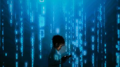 cybersecurity contact number significance
