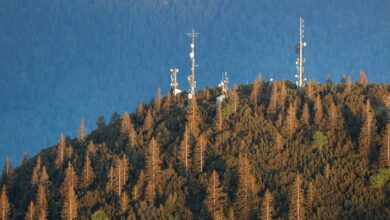enhanced telecom connectivity solutions