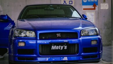 moti oswa elss investment