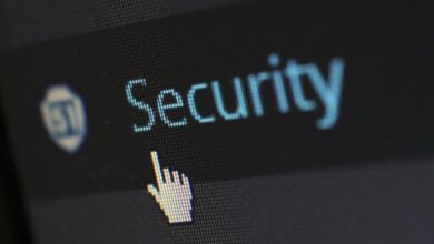 network security role explained