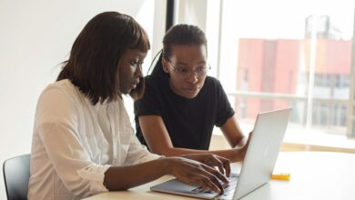 software development importance highlighted