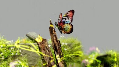 ai solutions for exploration