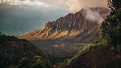 cloud computing exploration insights