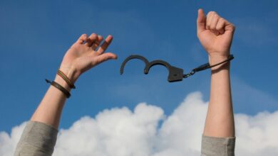 cloud platforms transformation revolution