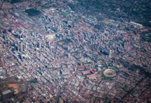 network development analysis insights