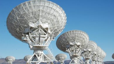 network innovation exploration insights