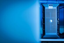 network services role analysis