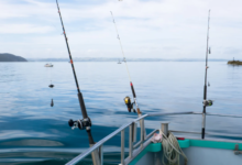 How Weather Conditions Affect Your Fishing Charter Experience