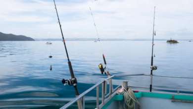 How Weather Conditions Affect Your Fishing Charter Experience