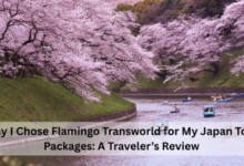 Why I Chose Flamingo Transworld for My Japan Tour Packages: A Traveler’s Review