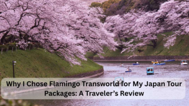 Why I Chose Flamingo Transworld for My Japan Tour Packages: A Traveler’s Review