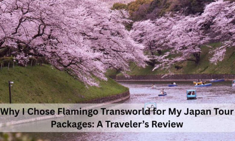 Why I Chose Flamingo Transworld for My Japan Tour Packages: A Traveler’s Review