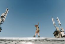 telecom risk oversight contacts