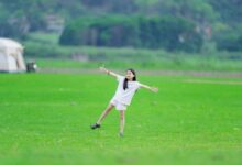 operational trends analysis report