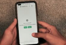 sector intelligence navigator analysis