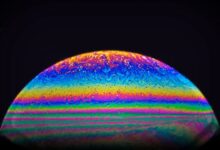 cosmic prism animal movie fueling