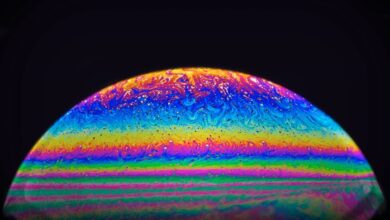 cosmic prism animal movie fueling