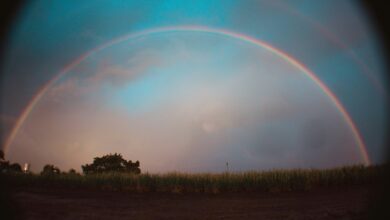 horizon arc drives transformative synergy