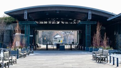 momentum gateway fuels transformative expansion