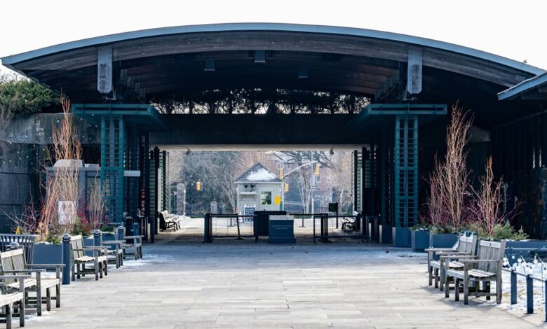 momentum gateway fuels transformative expansion