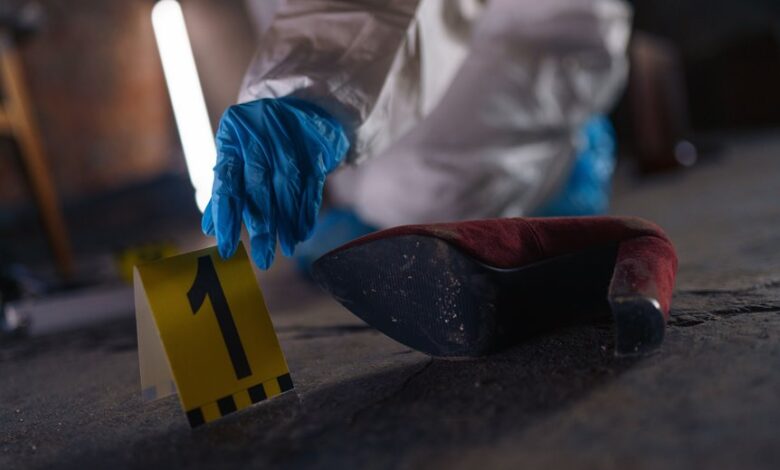 explore verified registry evidence ids