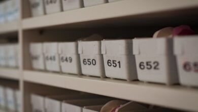 phone numbers appear in archives