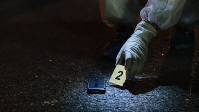phone numbers listed in registry evidence