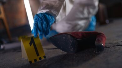 public registry evidence ids