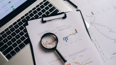 registry search reports by ids listed
