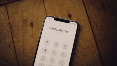 registry search results for specific numbers
