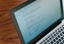 registry search results ids listed