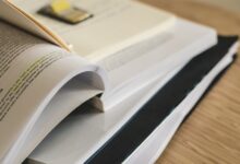 study registry ids and numbers listed