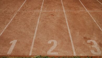 track registry search references