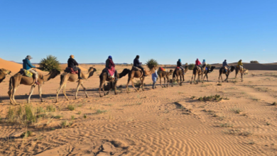 What to Expect on an 8 Day Sahara Desert Circuit Through Morocco